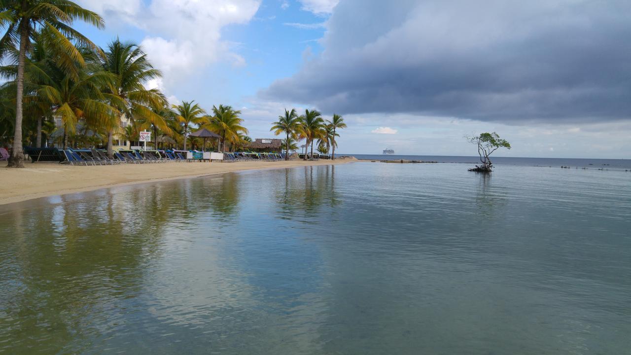 Las Palmas Beach Hotel Dixon Cove Dış mekan fotoğraf