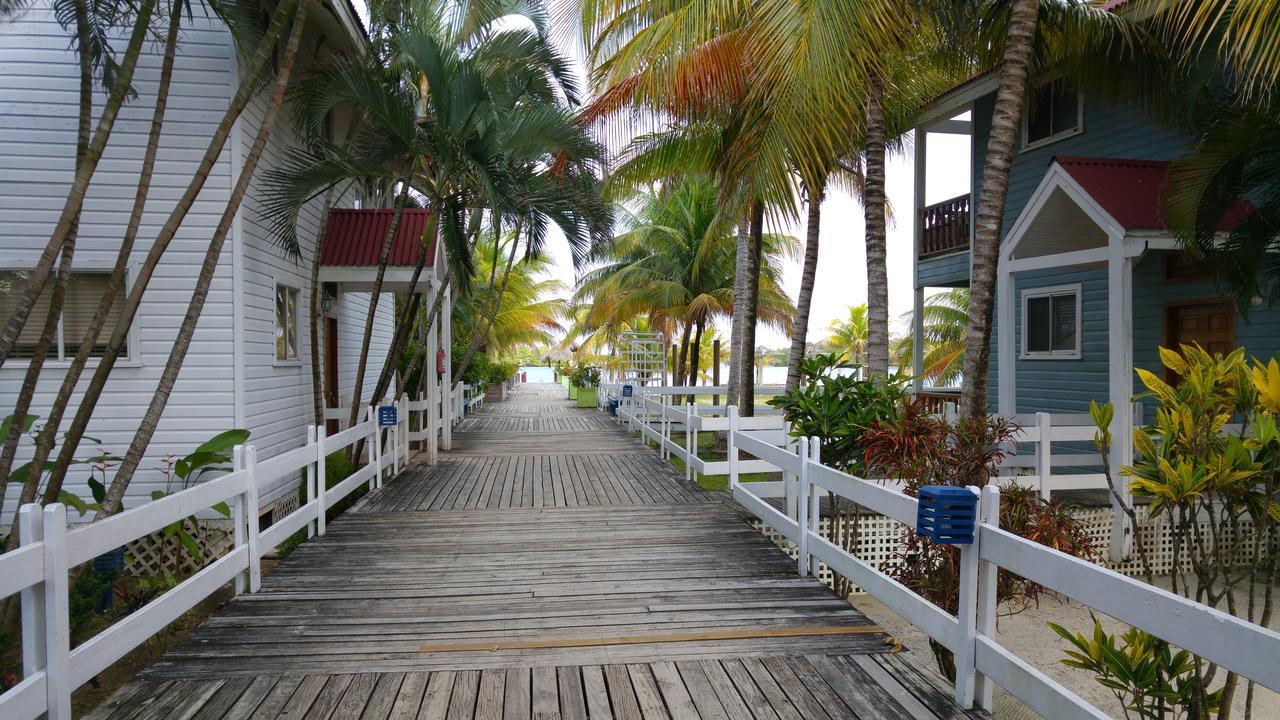 Las Palmas Beach Hotel Dixon Cove Dış mekan fotoğraf