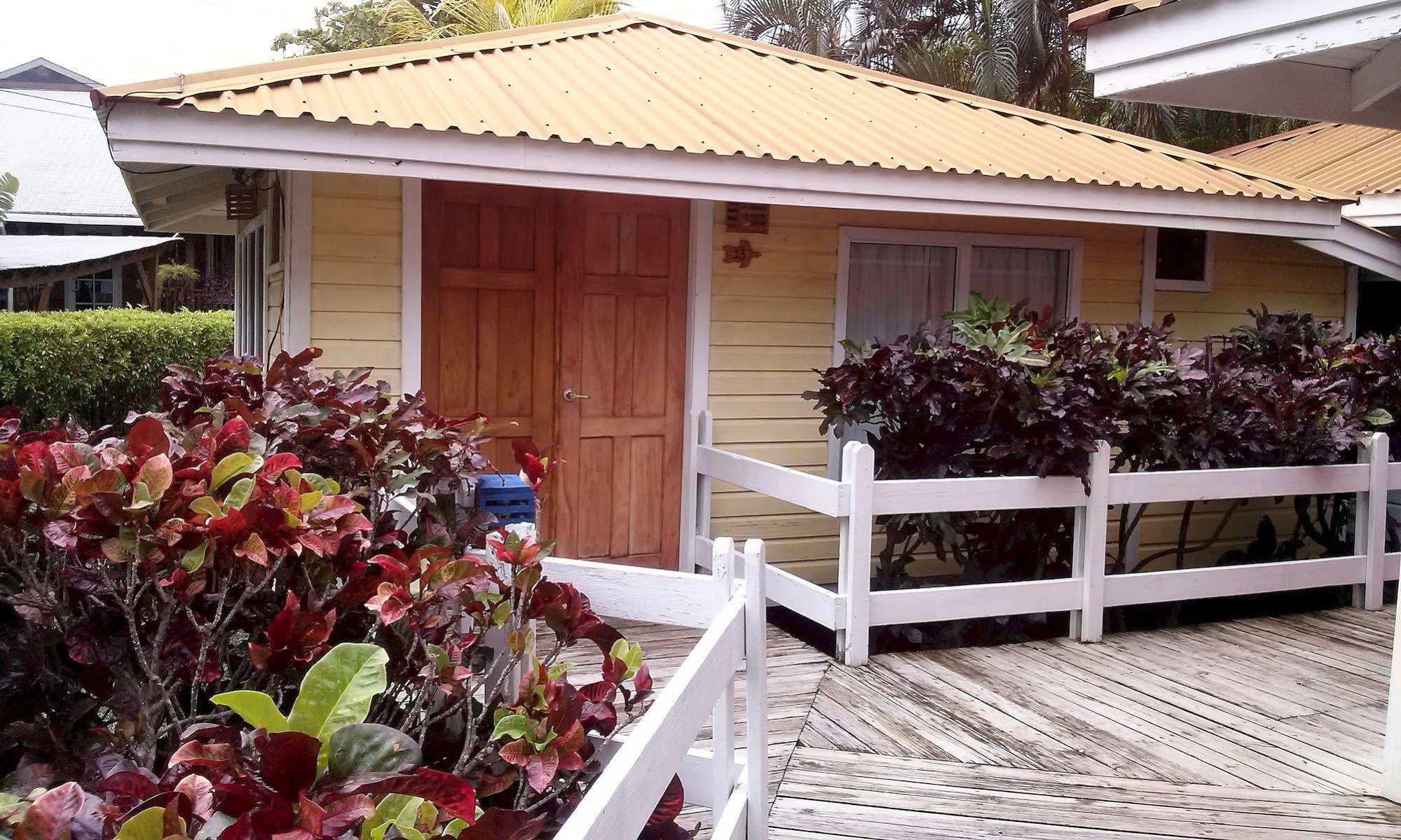 Las Palmas Beach Hotel Dixon Cove Dış mekan fotoğraf